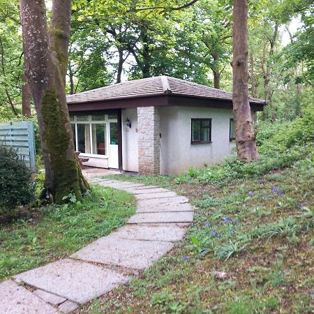 Willa Woodland Retreat Uny Lelant Zewnętrze zdjęcie