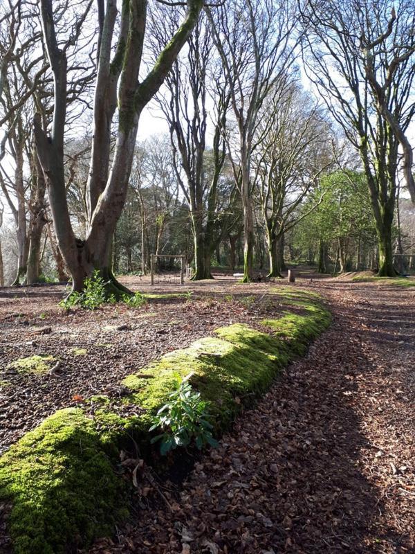 Willa Woodland Retreat Uny Lelant Zewnętrze zdjęcie