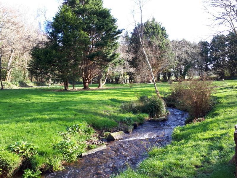 Willa Woodland Retreat Uny Lelant Zewnętrze zdjęcie