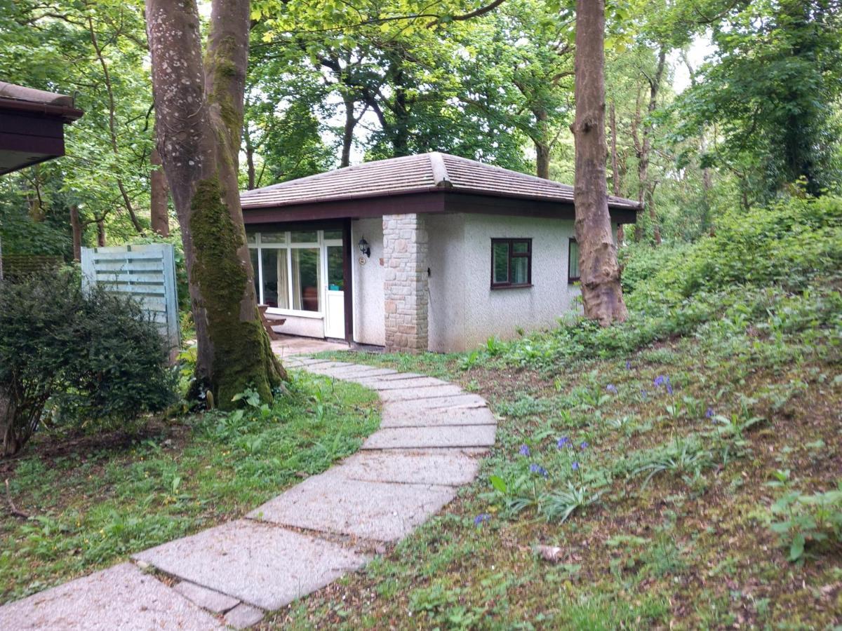 Willa Woodland Retreat Uny Lelant Zewnętrze zdjęcie